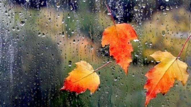 Прогноз погоди на вихідні оприлюднили тернопільські метеорологи