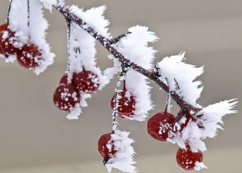 Негода суне на Тернопільщину