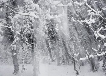Хуртовина, снігопад й ожеледиця: на Тернопільщині погіршиться погода