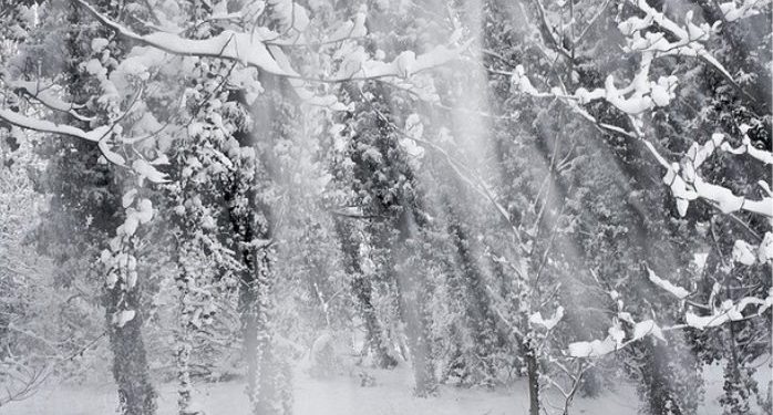 Хуртовина, снігопад й ожеледиця: на Тернопільщині погіршиться погода