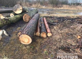 Тюрма за “прорідження” лісу загрожує жителю Чортківщини