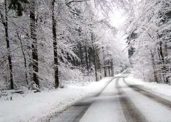 Понад 200 тонн суміші піску та солі використали для посипання доріг на Тернопільщині