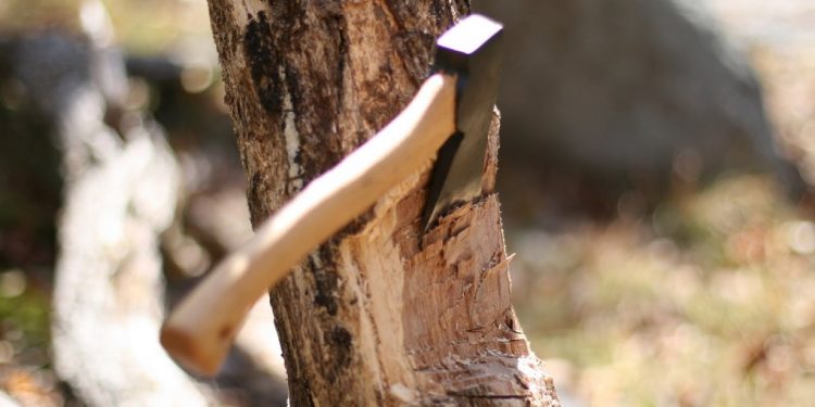 Під час господарських робіт у Збаражі загинув чоловік