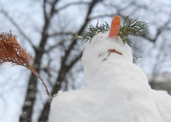 Стало відомо, яка погода буде на Тернопіллі до кінця робочого тижня