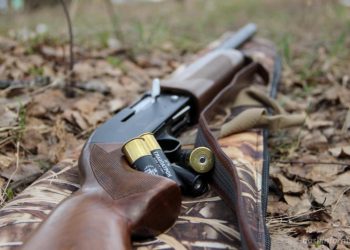 Зброю і боєприпаси знайшли правоохоронці у жителя Товстенської громади