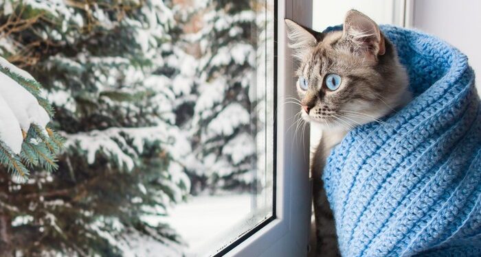 Чи сніжитиме найближчим часом на Тернопільщині