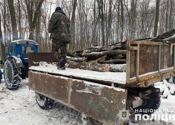 Деревину із заповідника намагався вкрасти чоловік на Тернопільщині