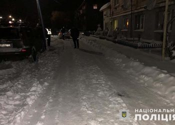 На Тернопільщині водій, паркуючи авто у дворі, збив людину